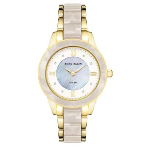 Anne Klein Two-Tone Band Silver White Mother of Pearl Dial Women's Watch - AK3610GPWT