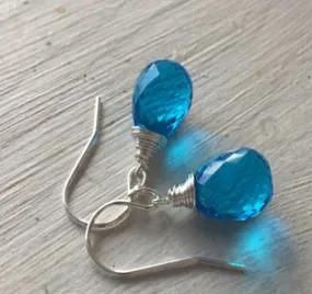 Bright Blue Plump Teardrop Dangle Earrings