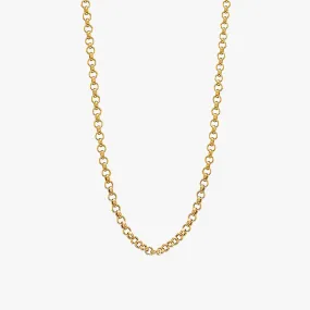 Dainty Rolo Chain Choker