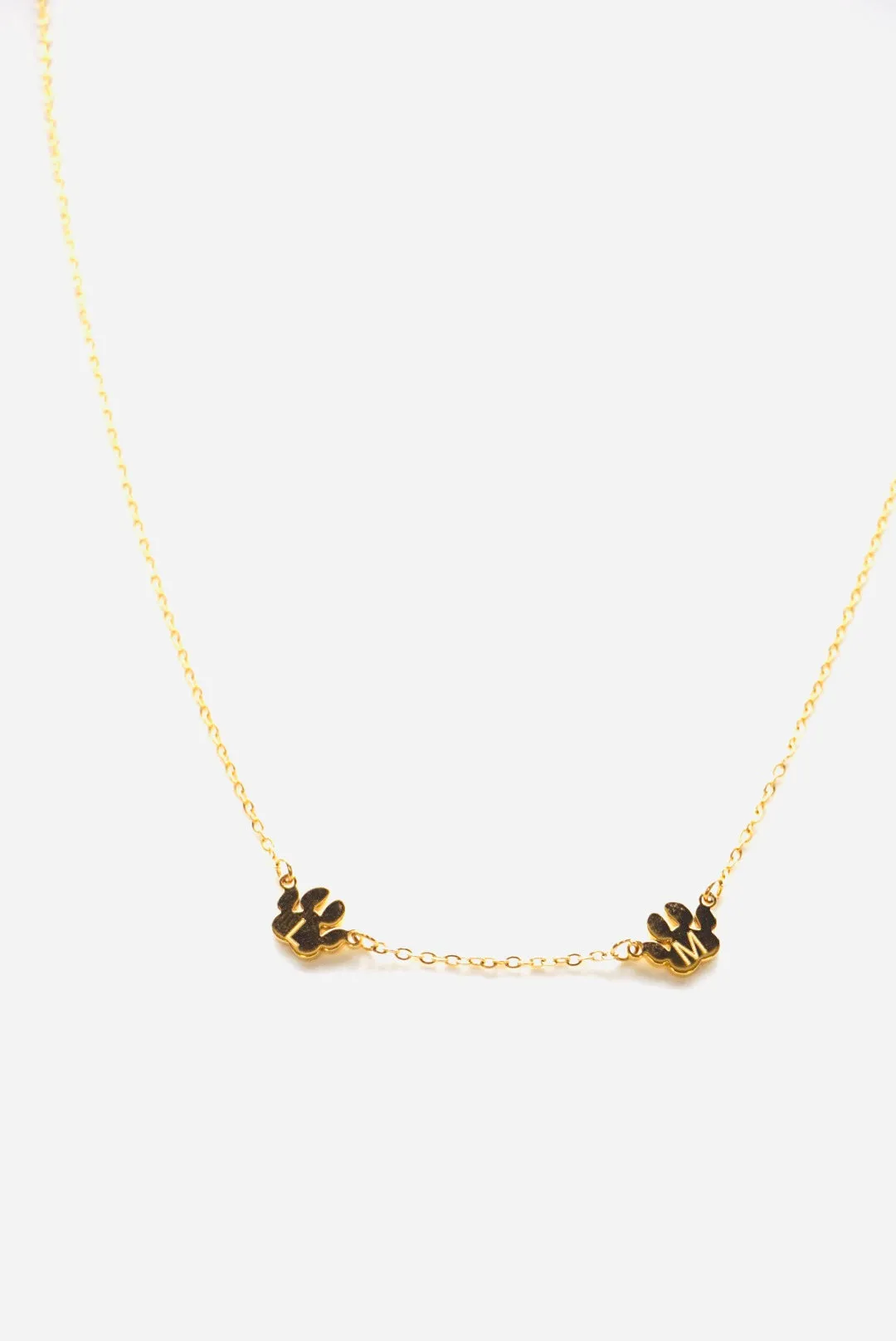 Man's Best Friend Initial Paw Print Necklace