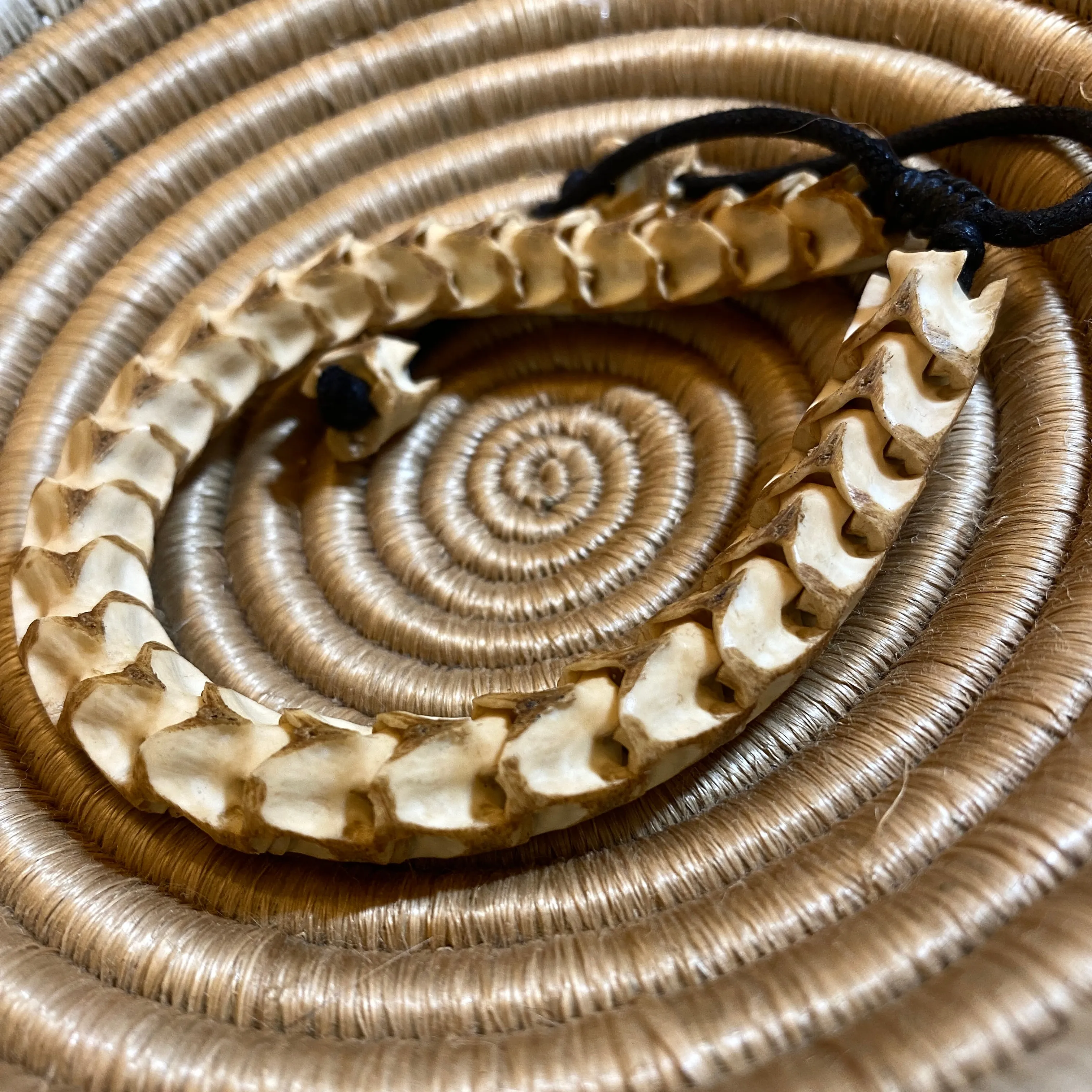 Snake Vertebrae Jewelry